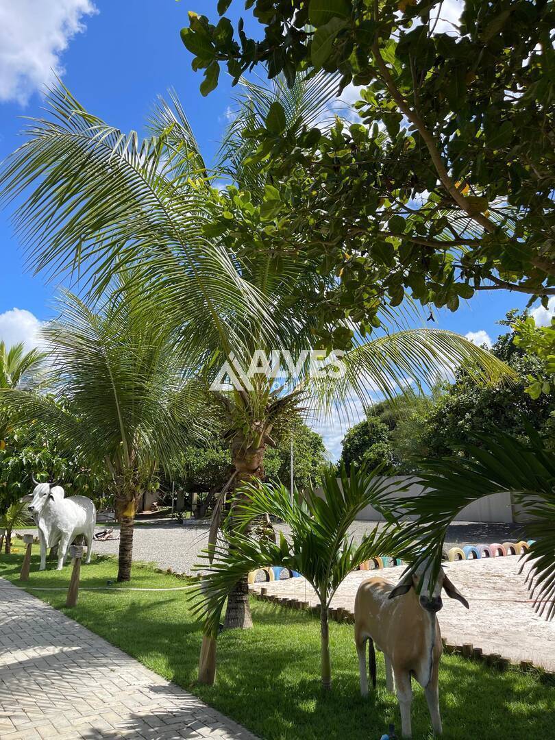 Chácara à venda com 7 quartos, 217902m² - Foto 13