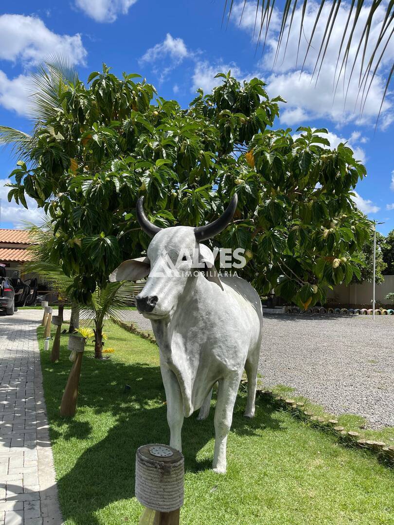 Chácara à venda com 7 quartos, 217902m² - Foto 15