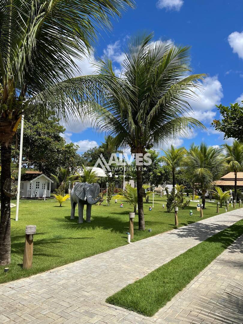 Chácara à venda com 7 quartos, 217902m² - Foto 18