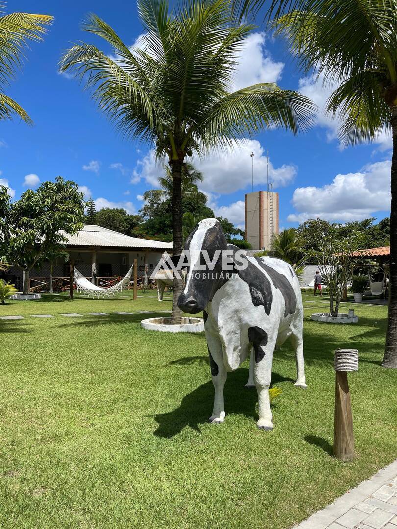 Chácara à venda com 7 quartos, 217902m² - Foto 19