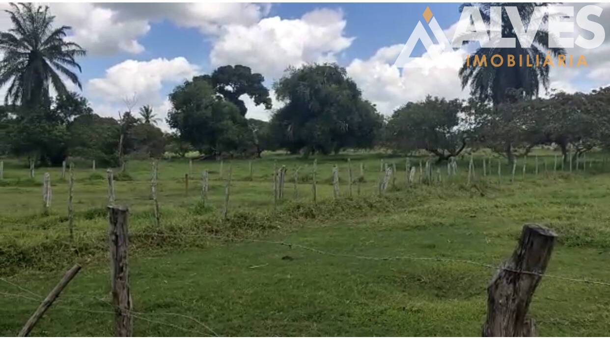 Sítio, 3 quartos, 35 hectares - Foto 7