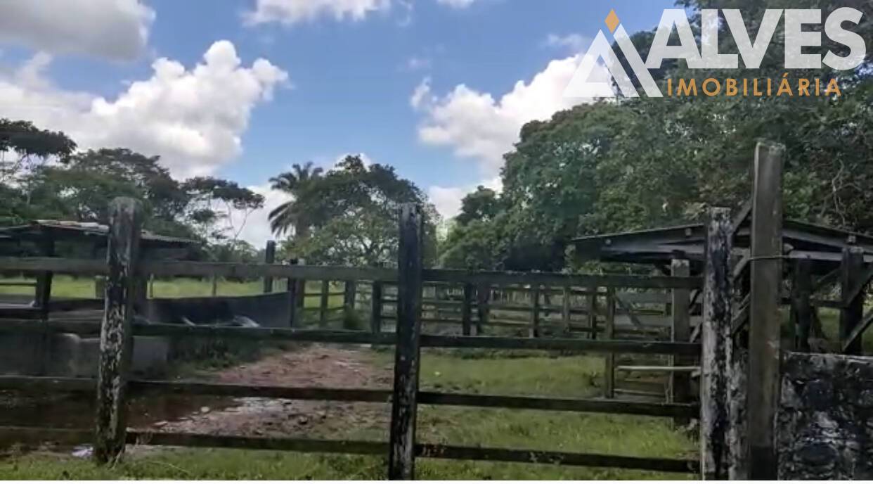 Sítio, 3 quartos, 35 hectares - Foto 9