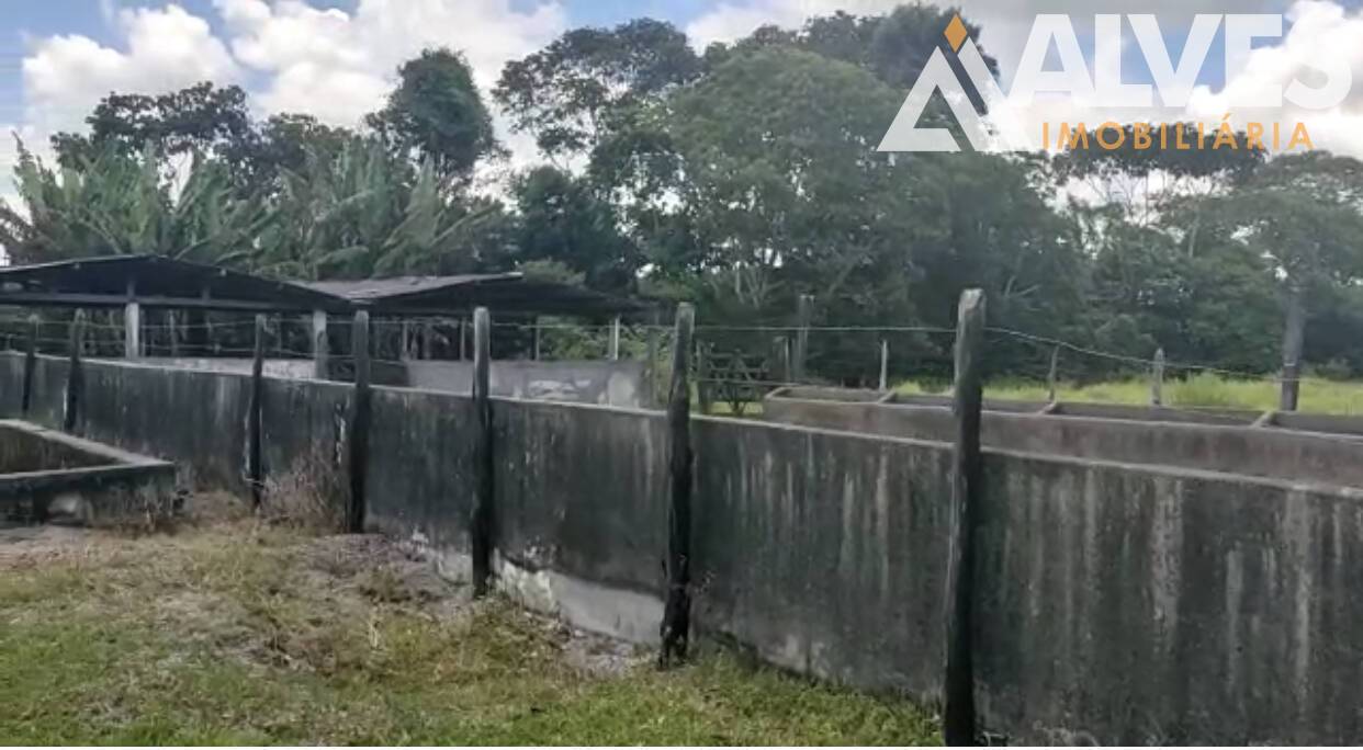 Sítio, 3 quartos, 35 hectares - Foto 14