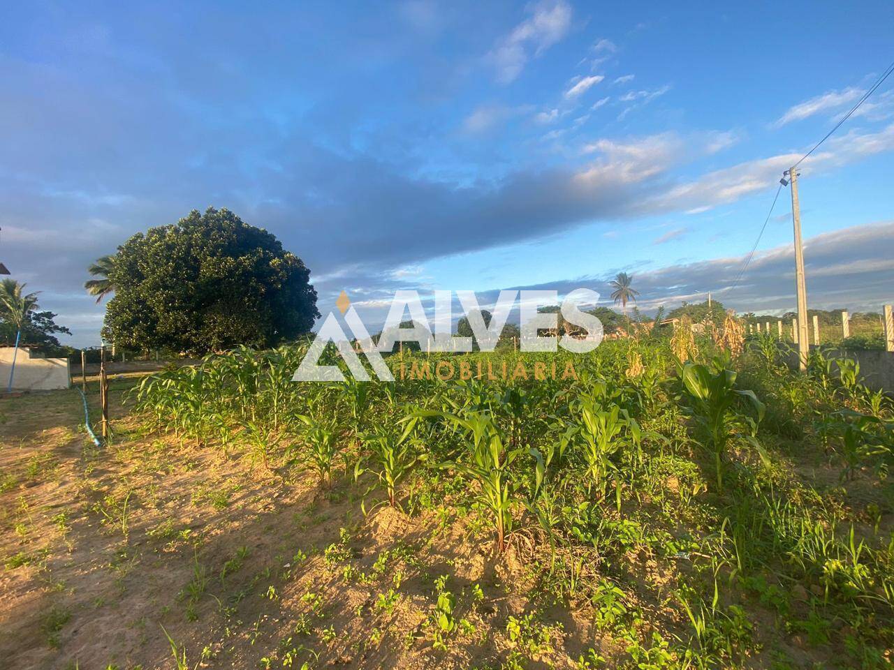 Chácara, 3 quartos, 8712 m² - Foto 11