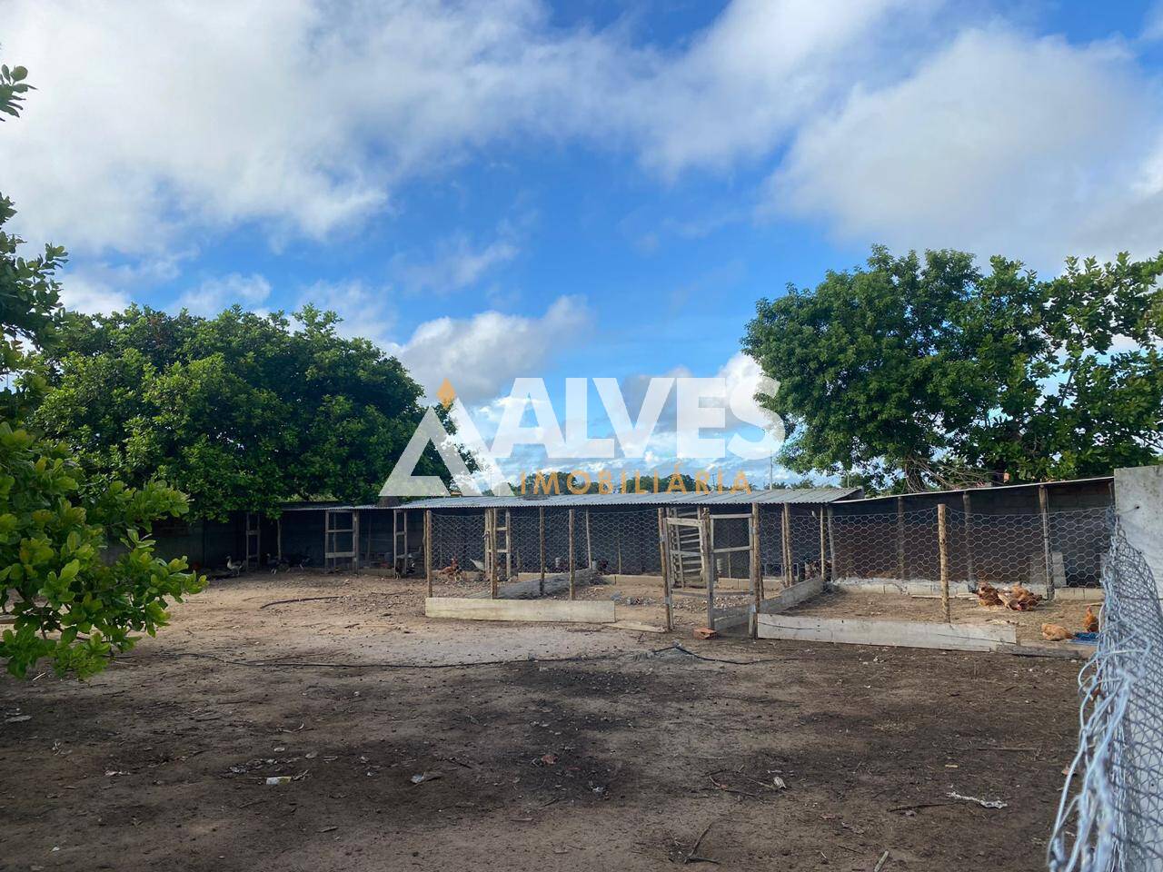 Chácara, 3 quartos, 8712 m² - Foto 18