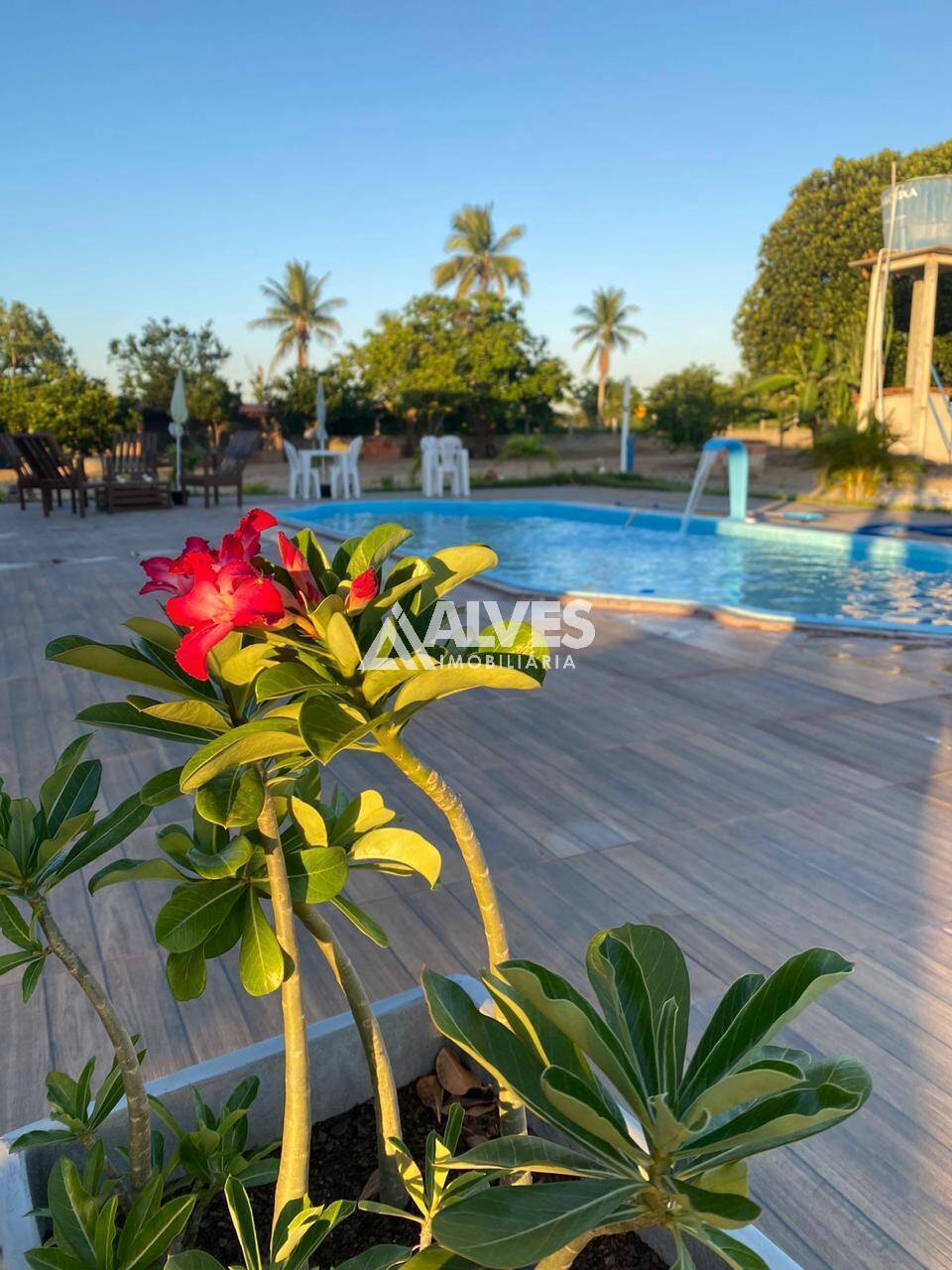 Chácara, 3 quartos, 8712 m² - Foto 2