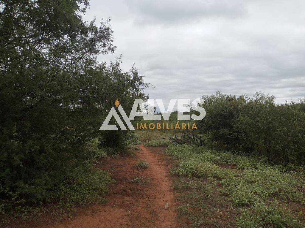 Terreno, 212 hectares - Foto 24