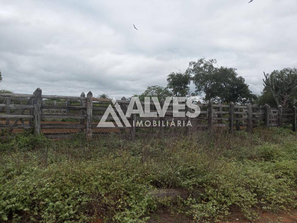 Terreno, 212 hectares - Foto 4