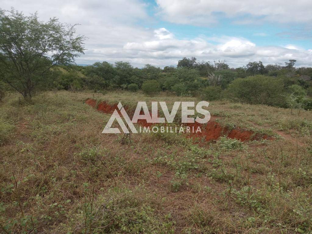 Terreno, 212 hectares - Foto 5