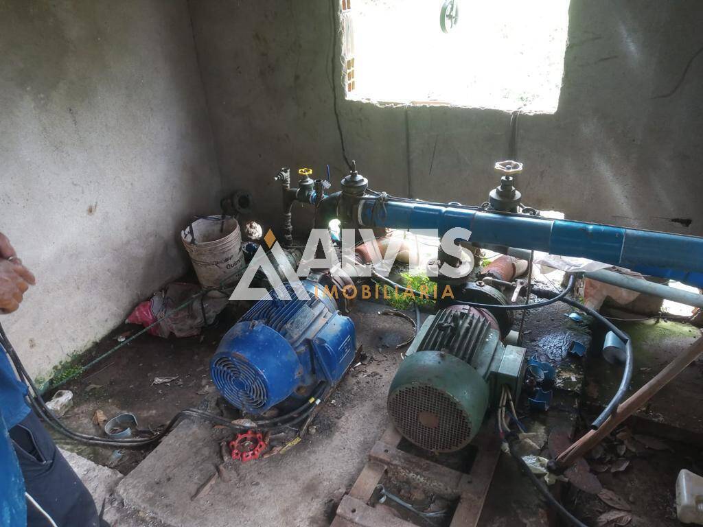 Terreno, 212 hectares - Foto 6