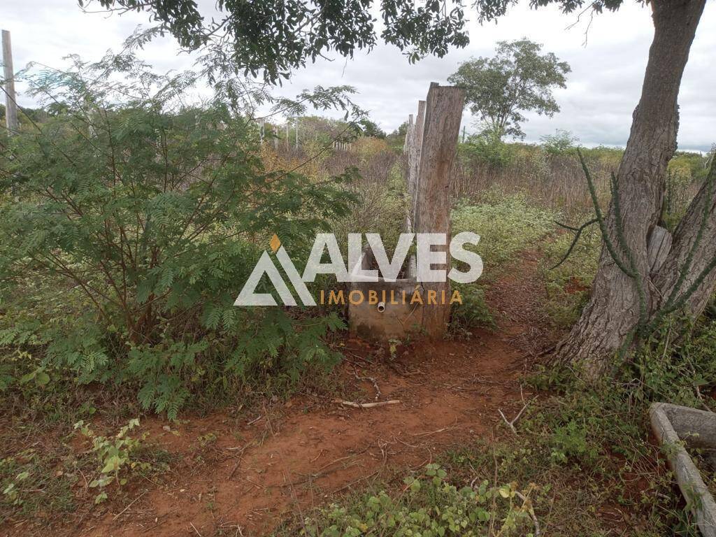 Terreno, 212 hectares - Foto 9