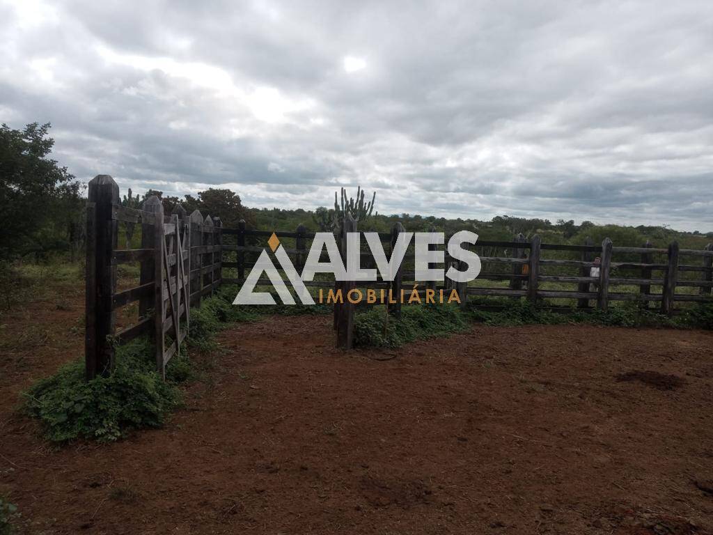 Terreno, 212 hectares - Foto 7