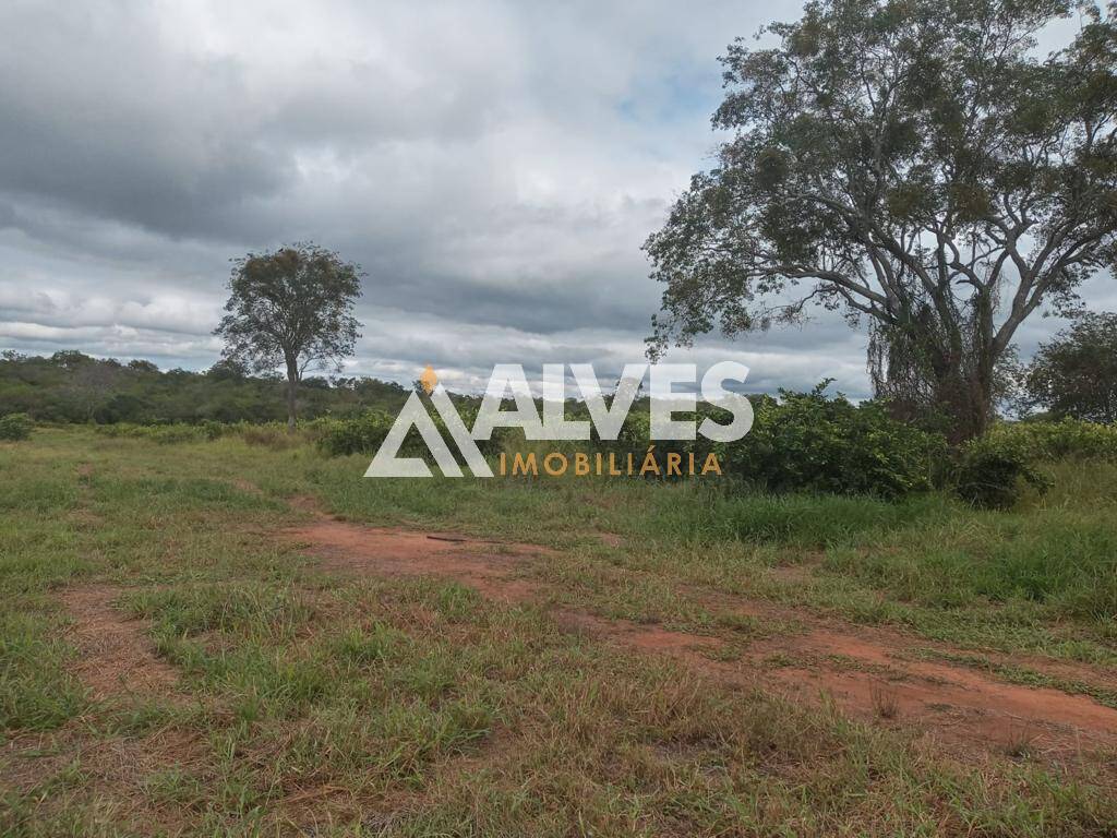 Terreno, 212 hectares - Foto 10