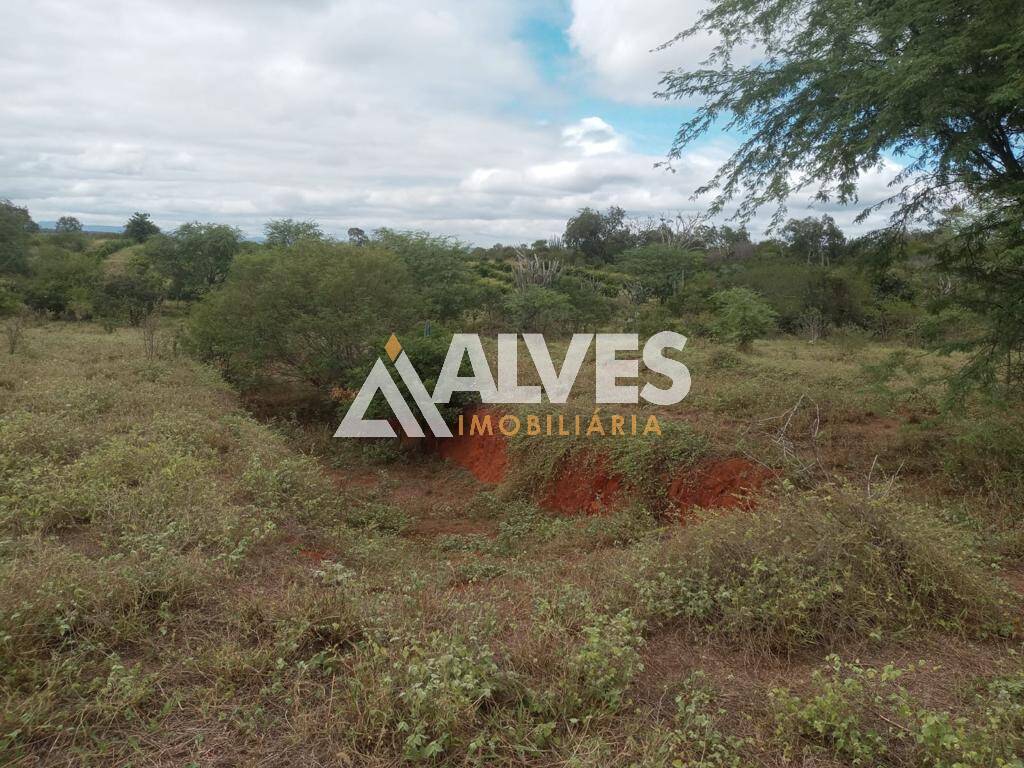 Terreno, 212 hectares - Foto 13