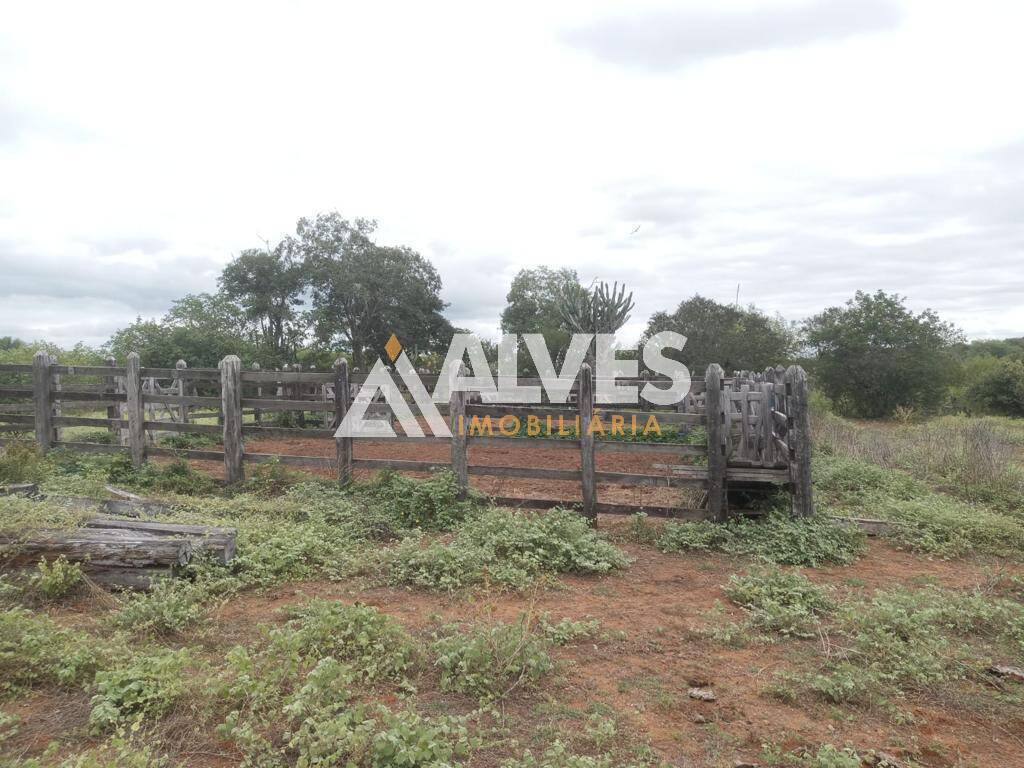 Terreno, 212 hectares - Foto 14