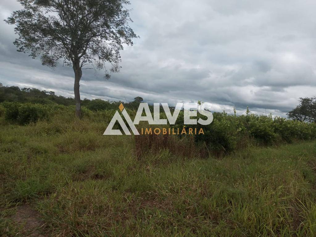 Terreno, 212 hectares - Foto 20