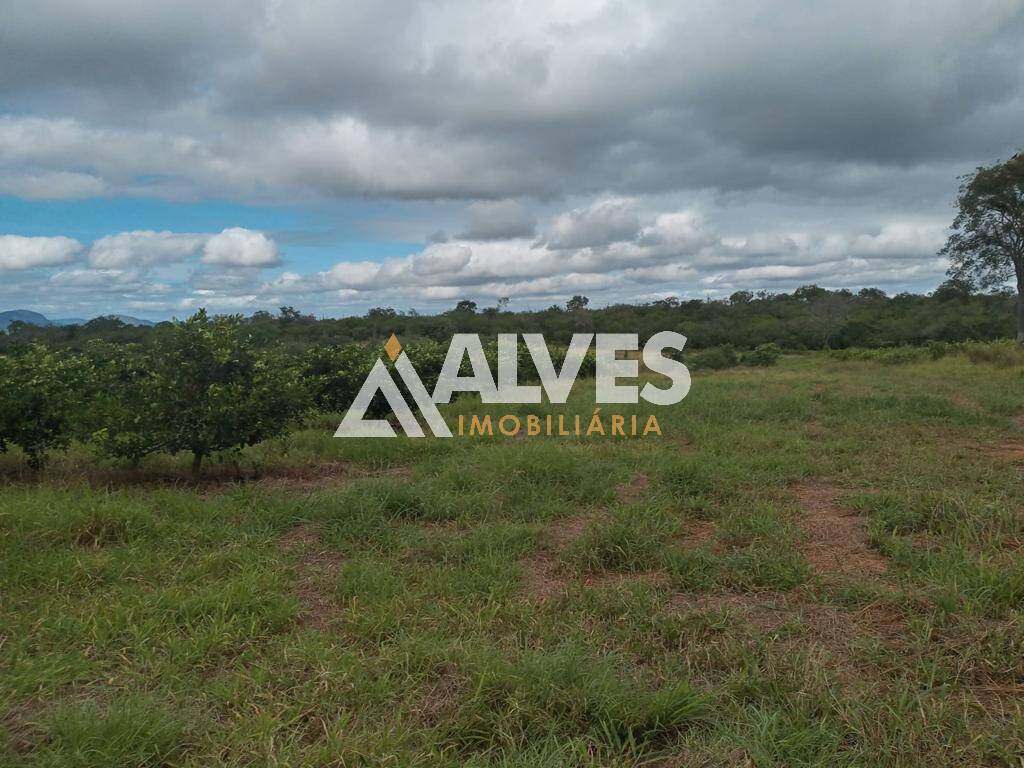 Terreno, 212 hectares - Foto 17