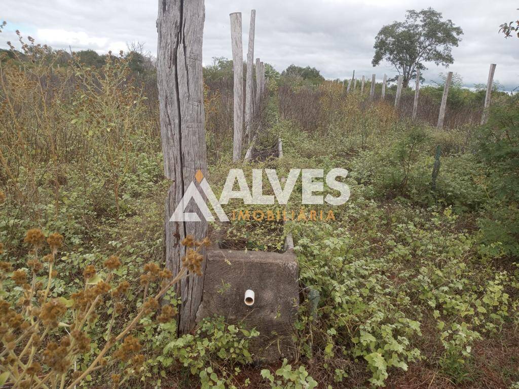 Terreno, 212 hectares - Foto 18