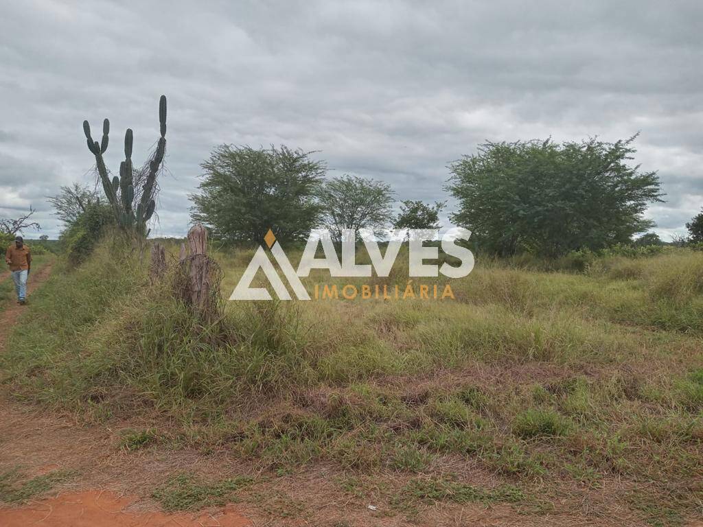 Terreno, 212 hectares - Foto 21