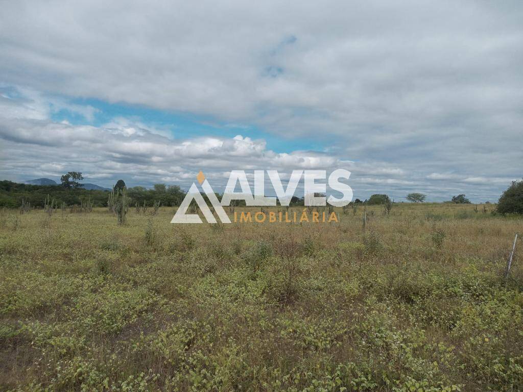 Terreno, 212 hectares - Foto 22