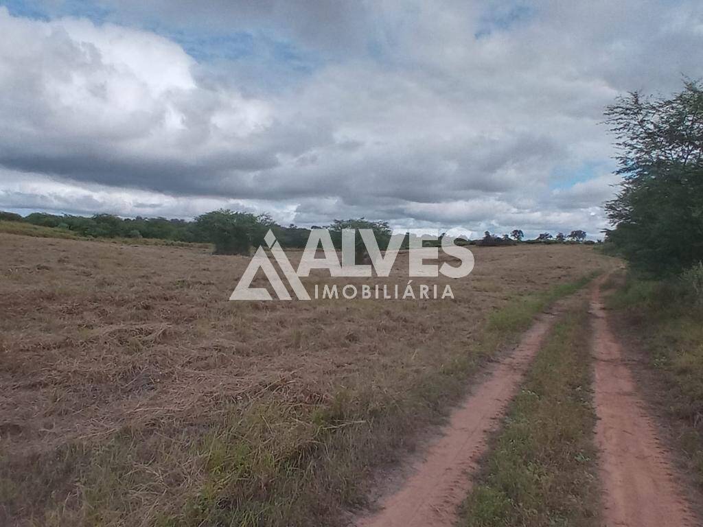 Terreno, 212 hectares - Foto 3