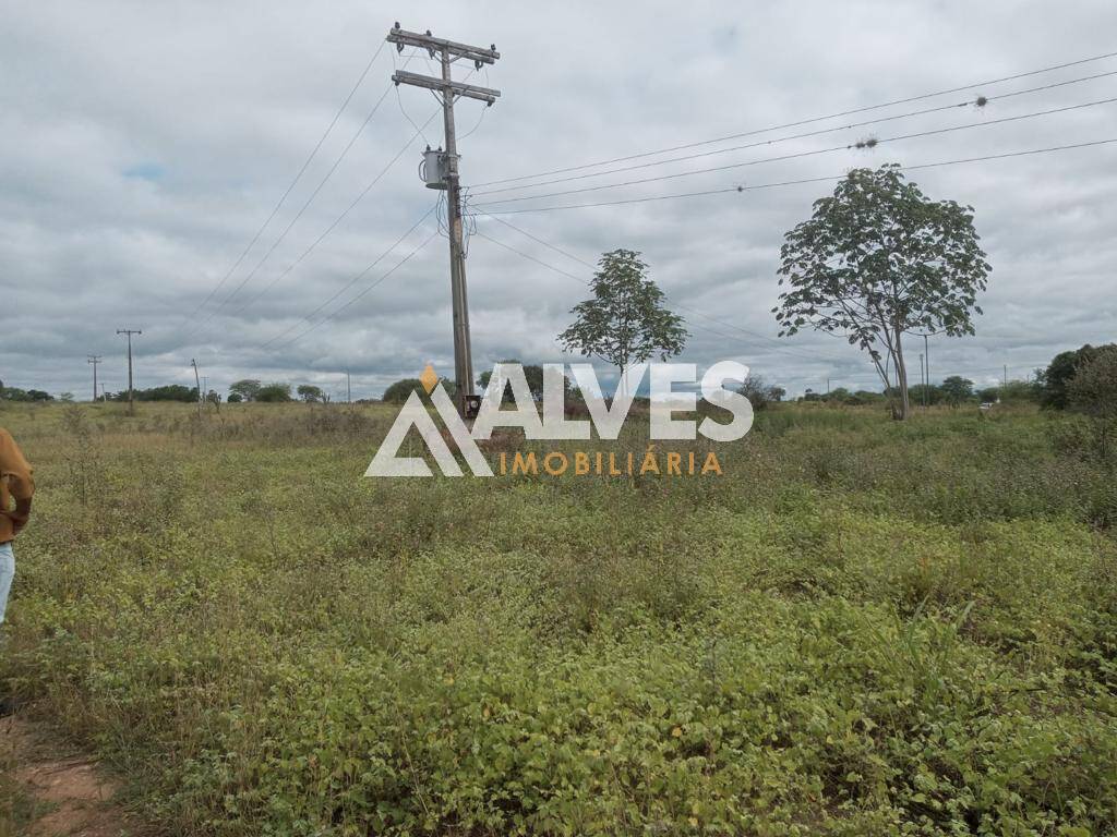 Terreno, 212 hectares - Foto 23