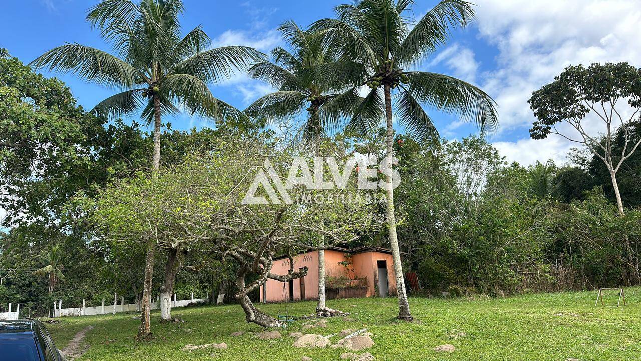 Sítio à venda com 2 quartos, 4300m² - Foto 34