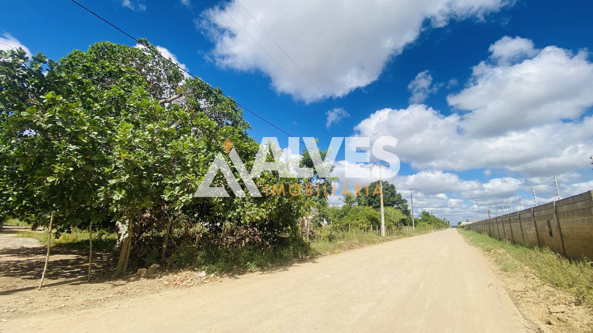 Terreno, 54 hectares - Foto 3