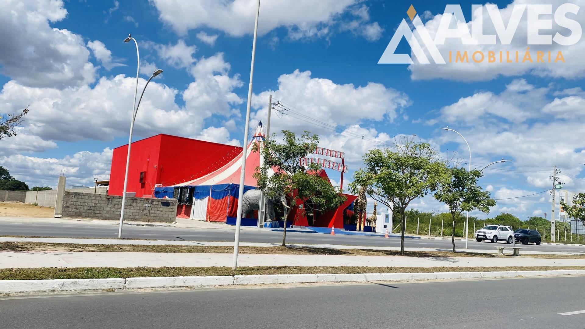 Terreno, 5250 m² - Foto 4