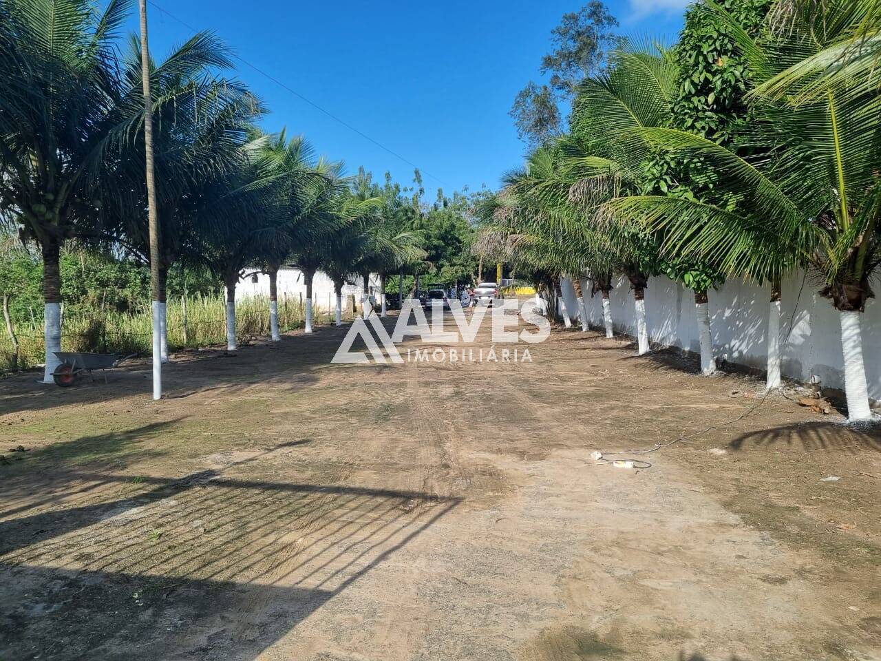 Sítio à venda com 3 quartos, 80000m² - Foto 17