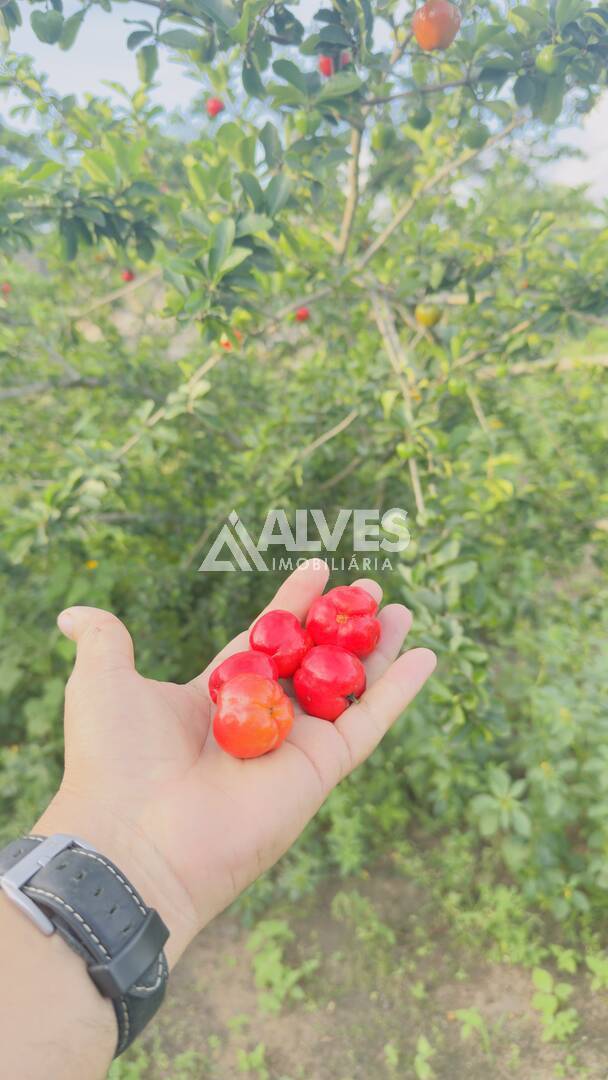 Terreno, 2 hectares - Foto 3