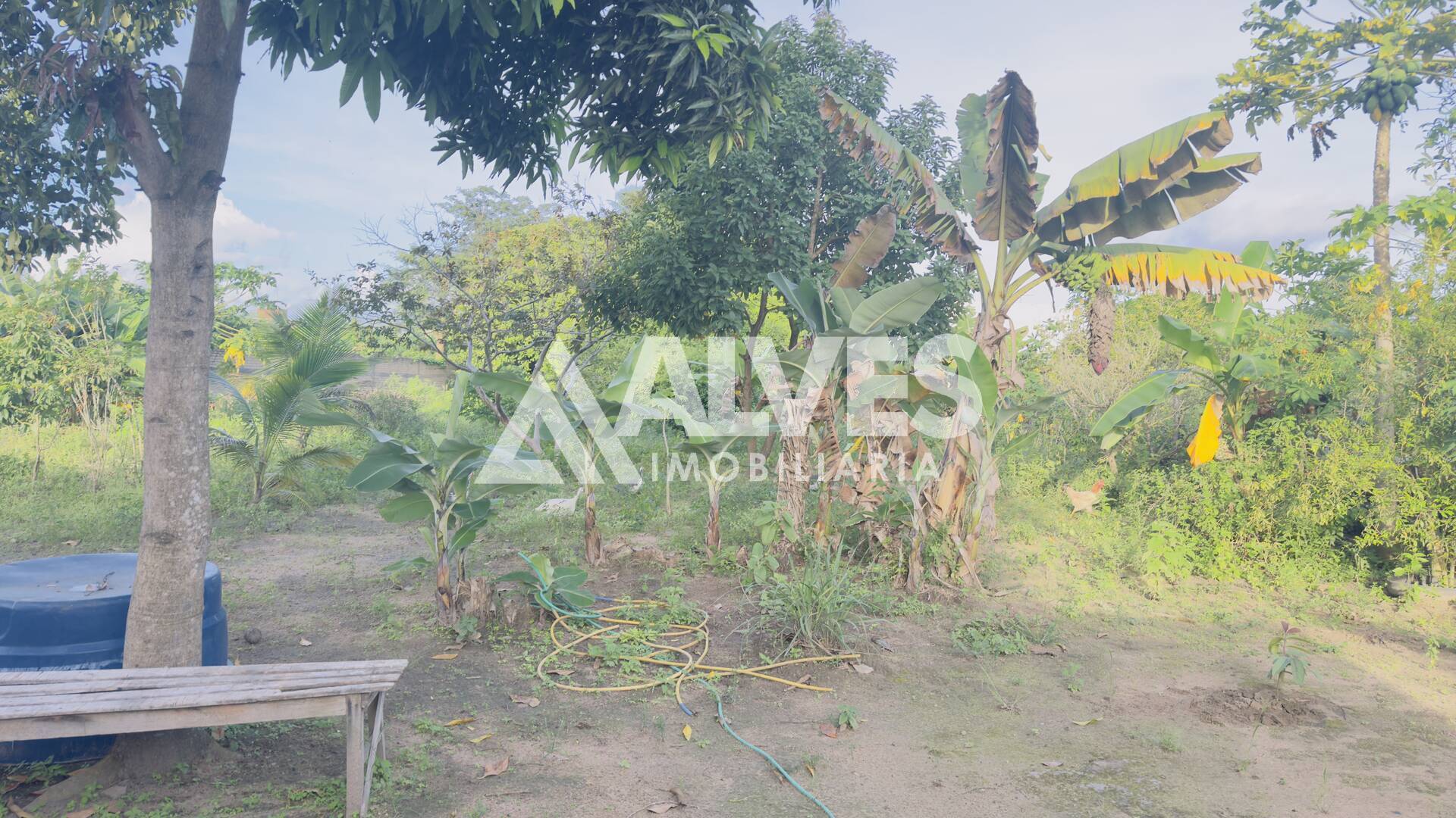 Terreno, 2 hectares - Foto 1