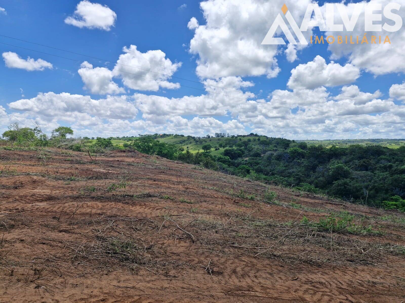 Terreno, 1 hectares - Foto 6