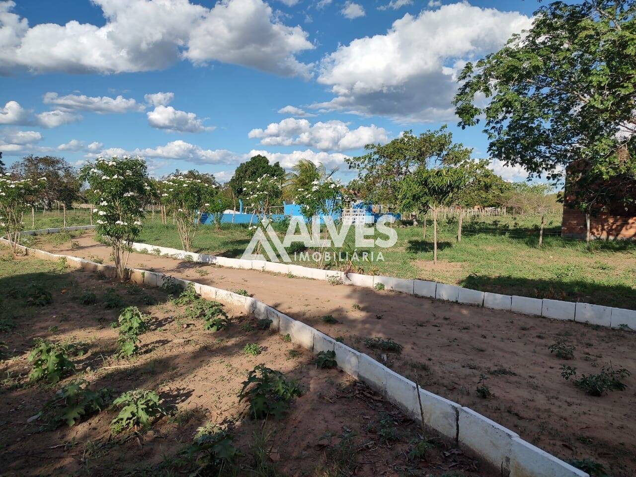 Chácara à venda com 2 quartos, 13000m² - Foto 2