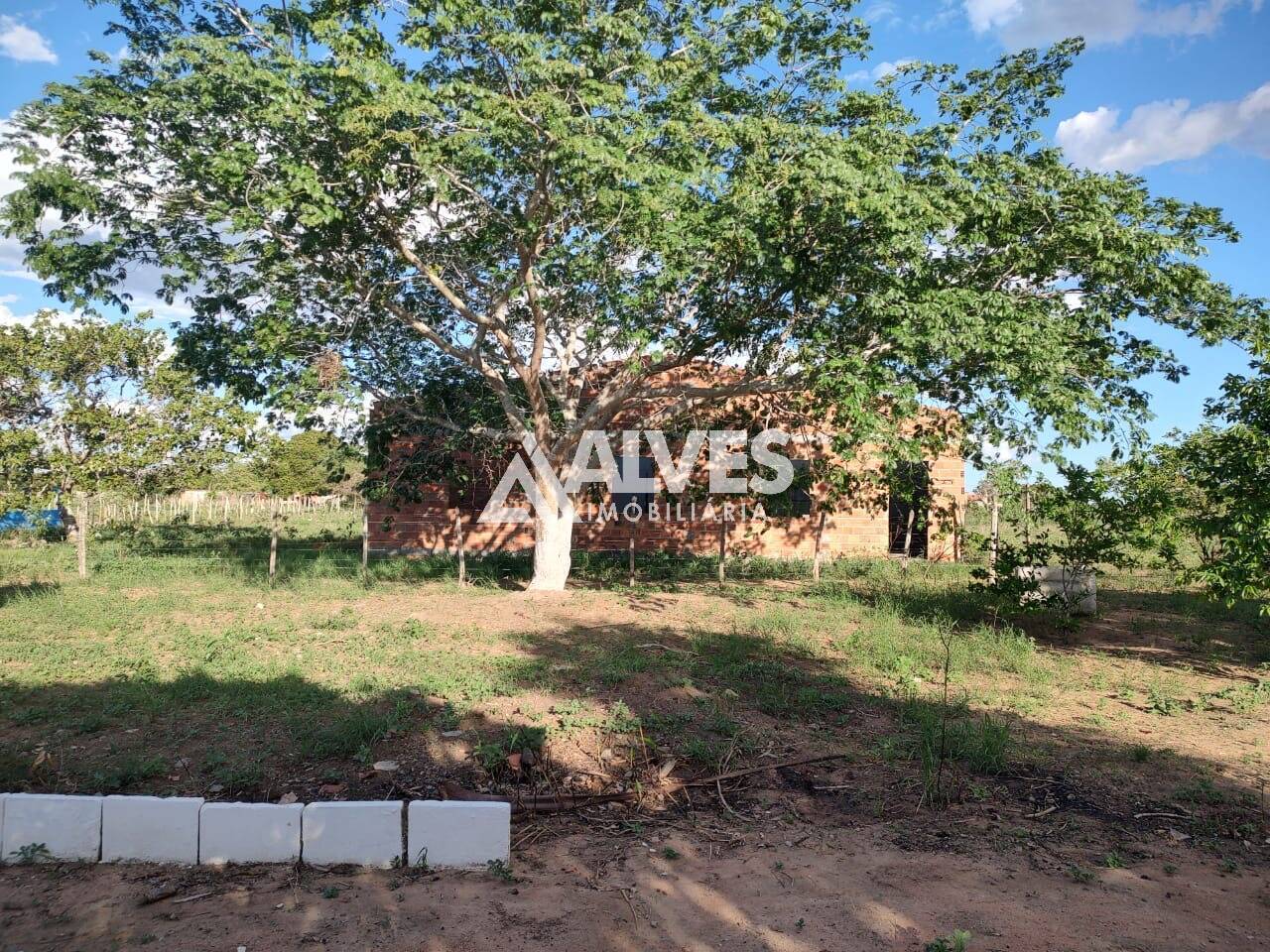 Chácara à venda com 2 quartos, 13000m² - Foto 5