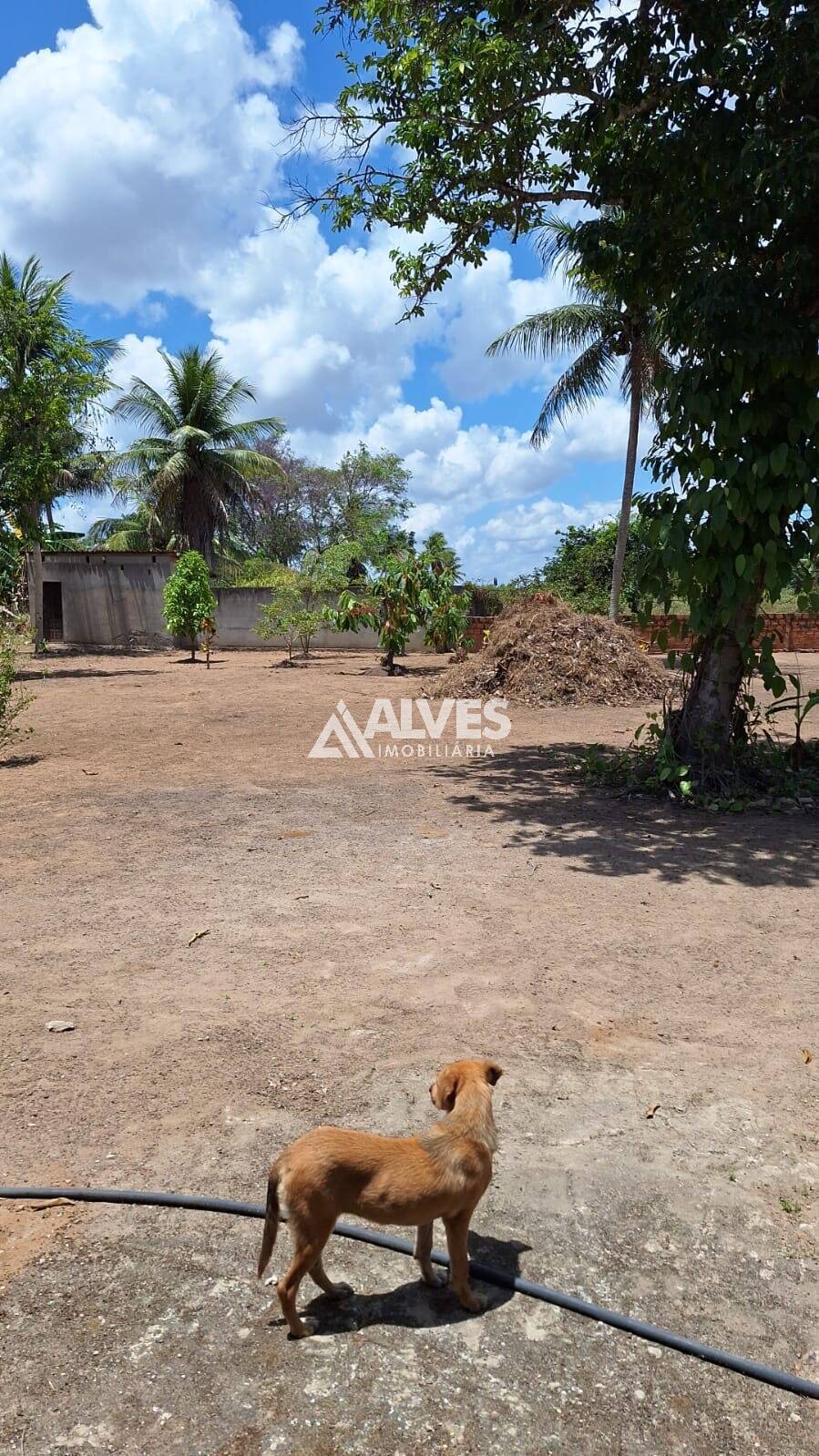 Chácara à venda com 4 quartos, 30492m² - Foto 3