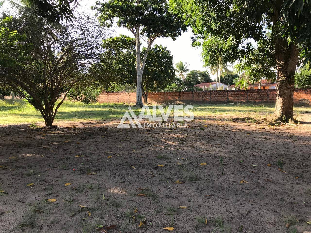 Chácara à venda com 4 quartos, 30492m² - Foto 10