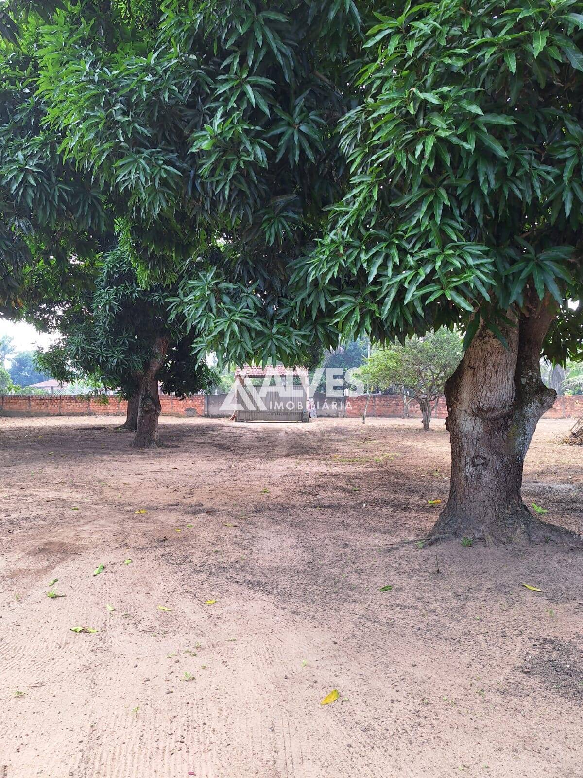 Chácara à venda com 4 quartos, 30492m² - Foto 2