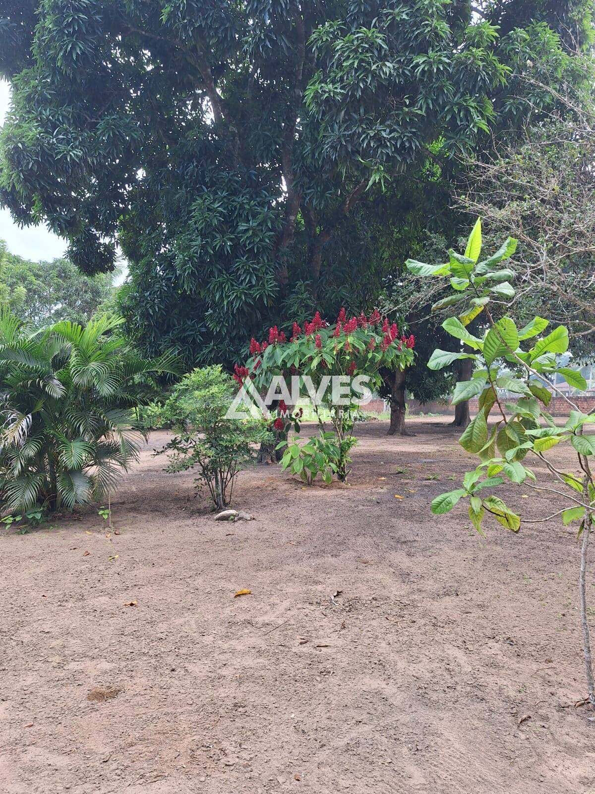 Chácara à venda com 4 quartos, 30492m² - Foto 12