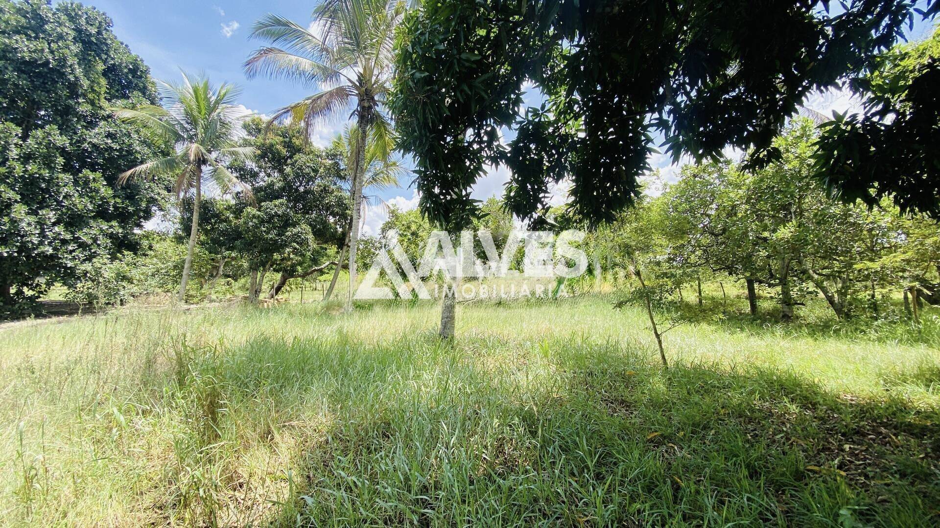 Terreno, 8 hectares - Foto 3