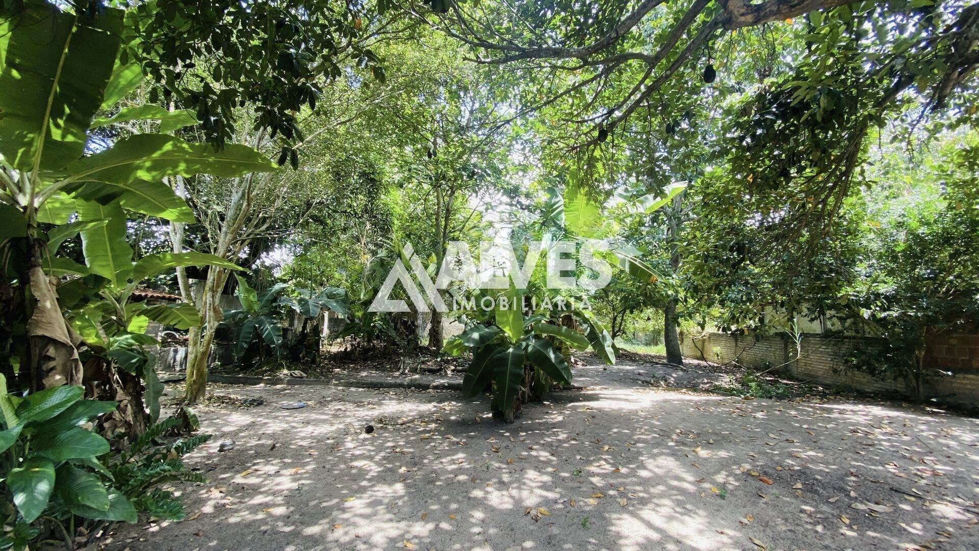 Terreno, 8 hectares - Foto 4