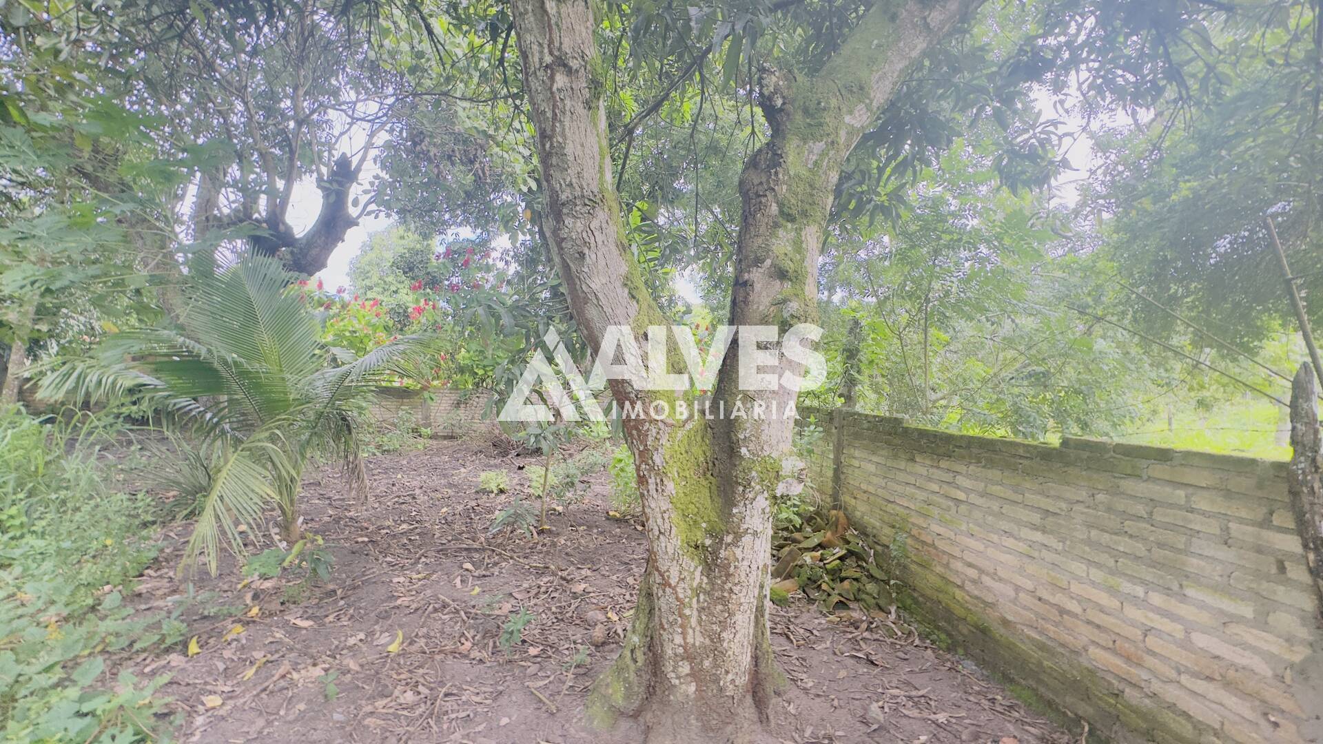 Sítio à venda com 2 quartos, 2178m² - Foto 32