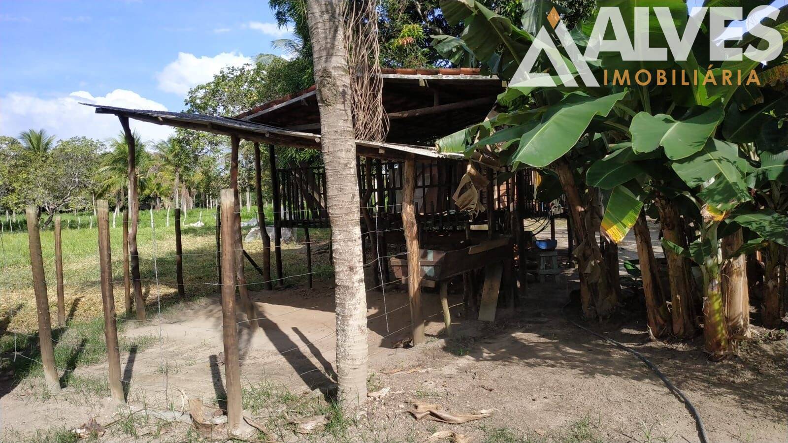 Sítio, 3 quartos, 12 hectares - Foto 33