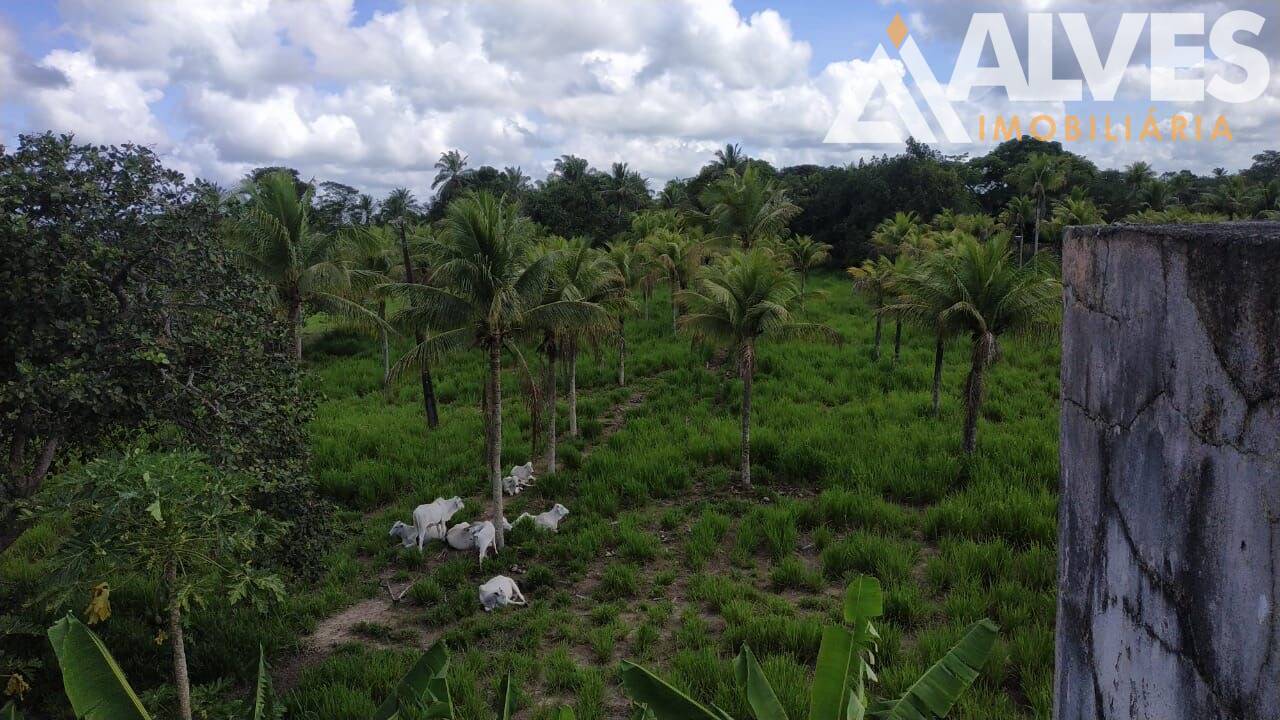 Sítio, 3 quartos, 12 hectares - Foto 13