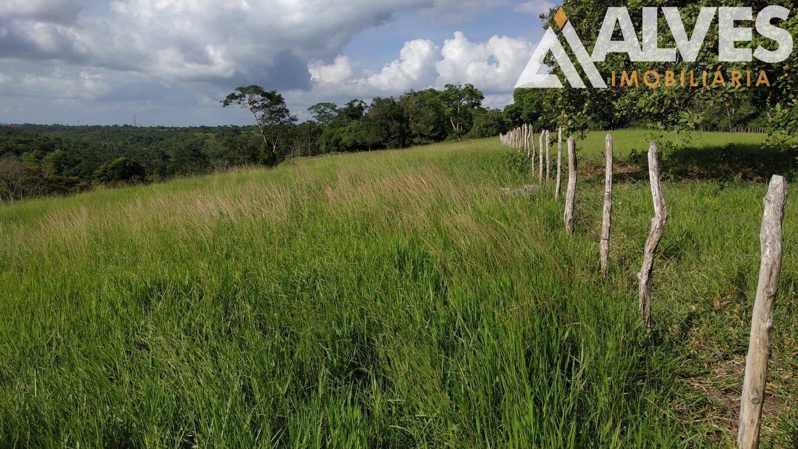 Sítio, 3 quartos, 12 hectares - Foto 17