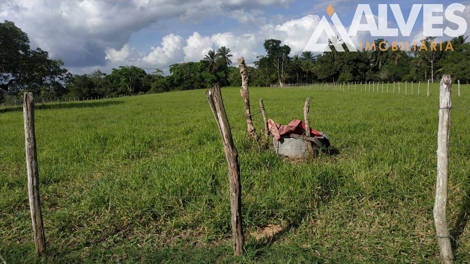 Sítio, 3 quartos, 12 hectares - Foto 20