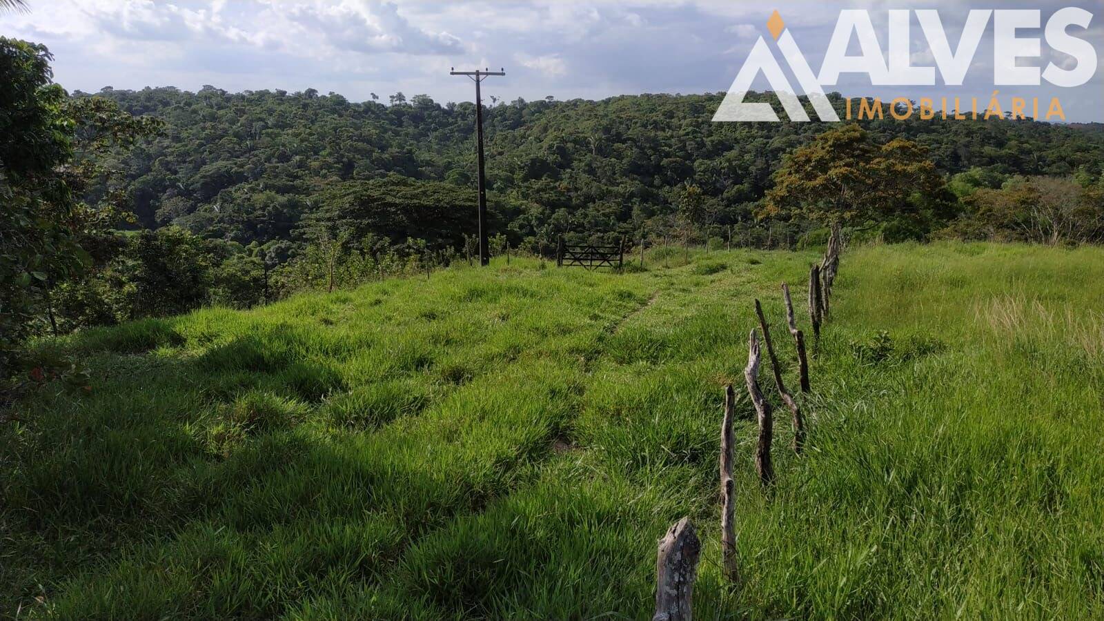 Sítio, 3 quartos, 12 hectares - Foto 21