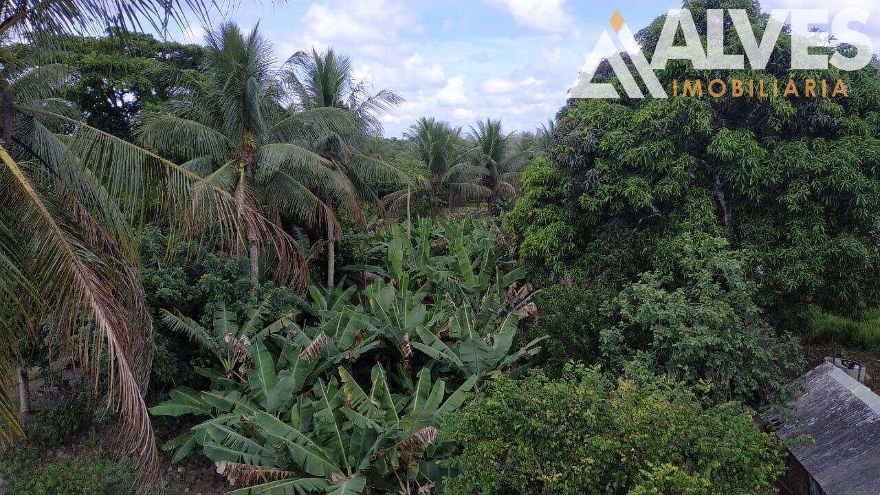 Sítio, 3 quartos, 12 hectares - Foto 22