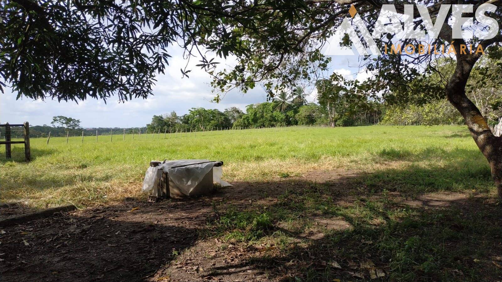 Sítio, 3 quartos, 12 hectares - Foto 23