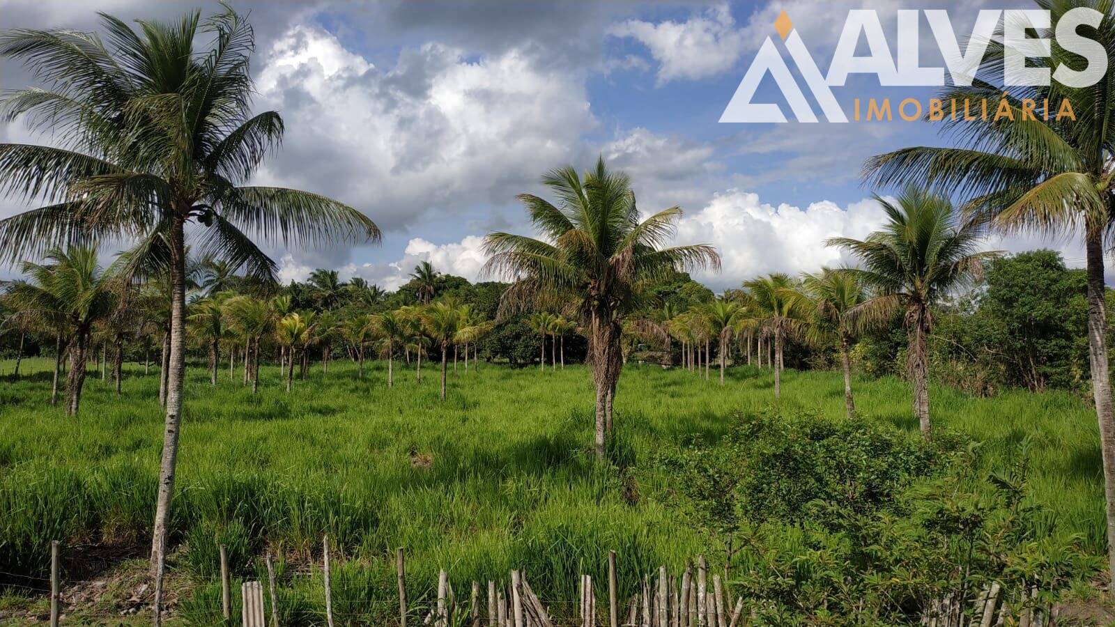 Sítio, 3 quartos, 12 hectares - Foto 24